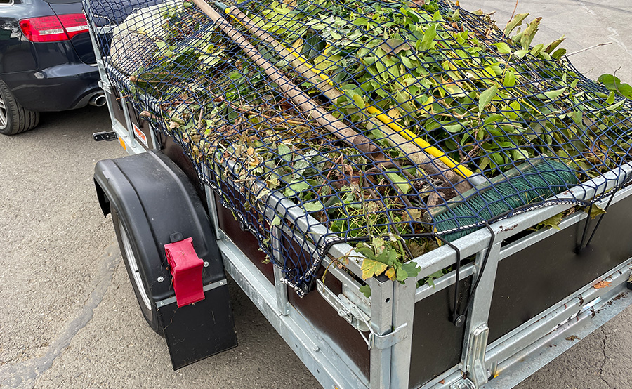 Rubbish-and-Plant-Clear-Up