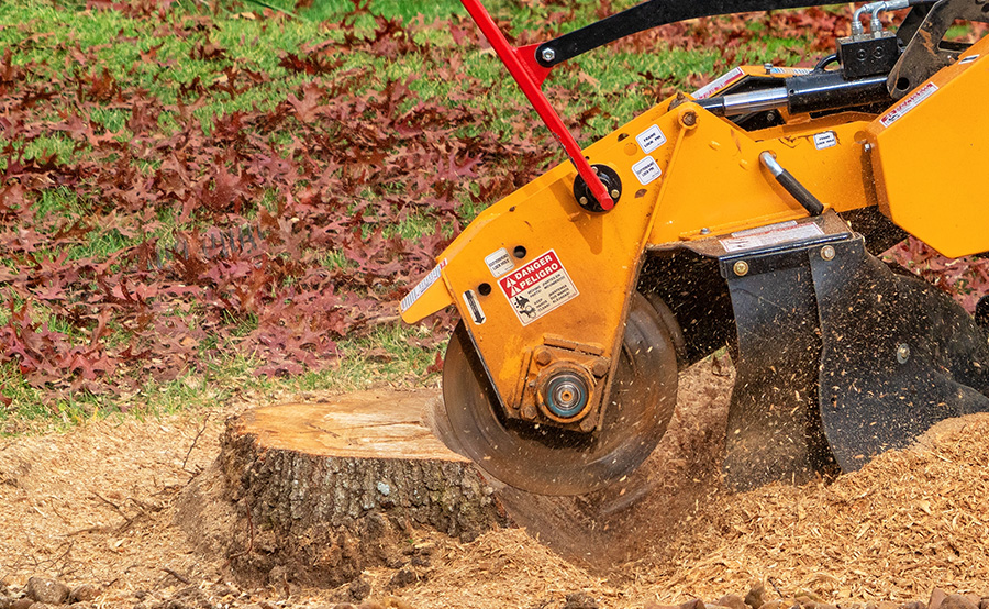 Stump-Grinding